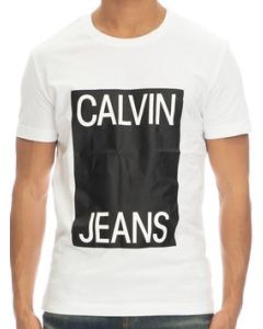 CKJ t-shirt J30J309839 112 