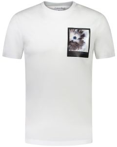 CK t-shirt K10K112492 YAF biaˆy