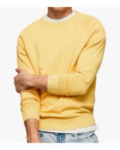 PJ sweter James Crew PM702298 039 żółty
