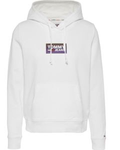 TJ bluza TJW Gradient Logo HO