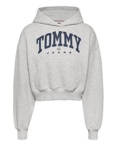 TJ bluza DW0DW19291 P08 szary